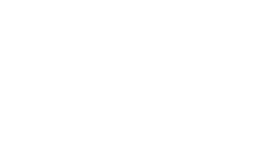 DonkeyMonkey Records